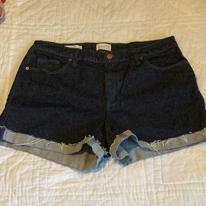 Women’s 16w Denim Stretch Shorts Vintage Hi Rise Style